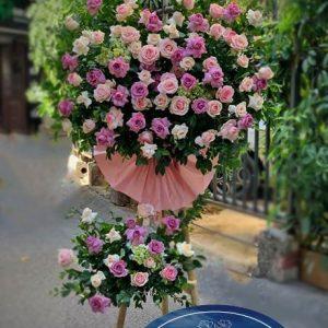 Thịnh Vượng - HKT107