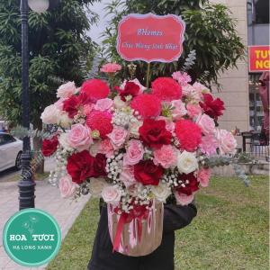 HG015 - Dịu Dàng