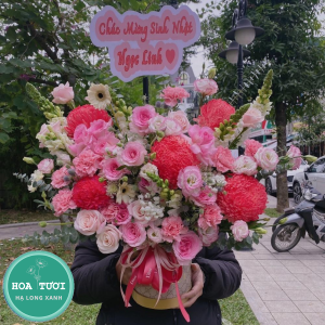 HG016 - Cầu Vồng