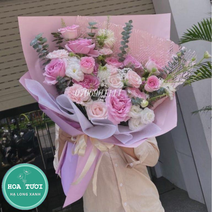 HB019 - Dịu