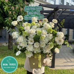 HG019 - Hồng Cam