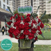 HG021 - Khoe Sắc 2 18 1
