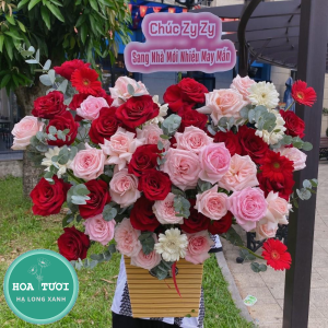 HG025 - Mộng Mơ