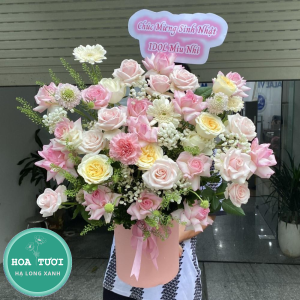 HG026 - Nắng