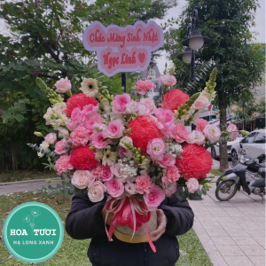 HG028 - Rực Cháy