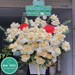 HG029 - Suối Nguồn