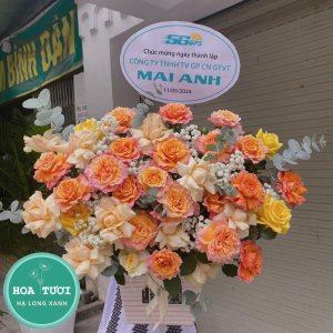 HG031 - Vươn Mình
