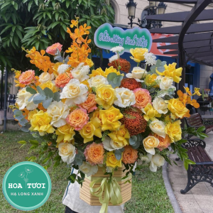 HG032 - Xinh Xắn