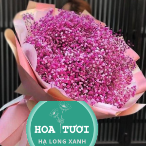 HB011 - Thủy Chung