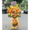 HKT015 - Nắng Vàng 1 a1