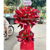 HKT030 - Hửng Đông 1 a3